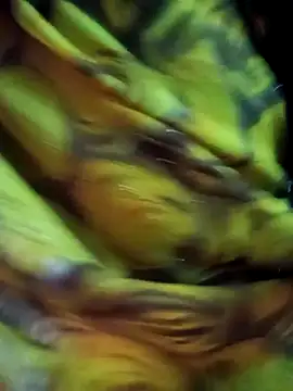 Muskan44s online show from February 2026 12:23:01 PM