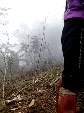 Snapshot of Tina-beo chatting on March 2026 08:19:01 AM Tina-beo online show from March 2026 08:19:01 AM