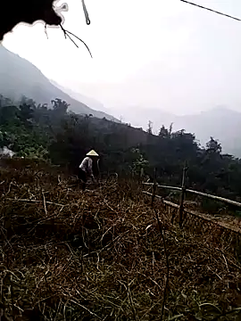 Snapshot of Tina-beo chatting on March 2026 09:42:02 AM Tina-beo online show from March 2026 09:42:02 AM