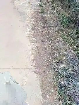 Snapshot of janu_9900 chatting on February 2026 06:09:01 AM janu 9900 online show from February 2026 06:09:01 AM