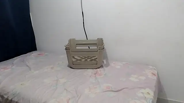 Snapshot of the_skinny_one chatting on February 2026 11:59:01 AM the skinny one online show from February 2026 11:59:01 AM