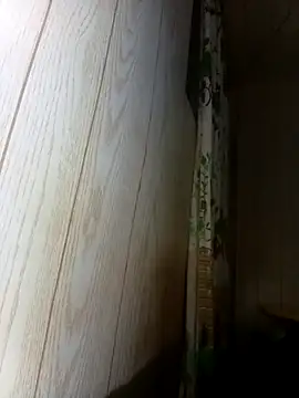 Snapshot of Prikev38452 chatting on February 2026 07:36:02 AM Prikev38452 online show from February 2026 07:36:02 AM