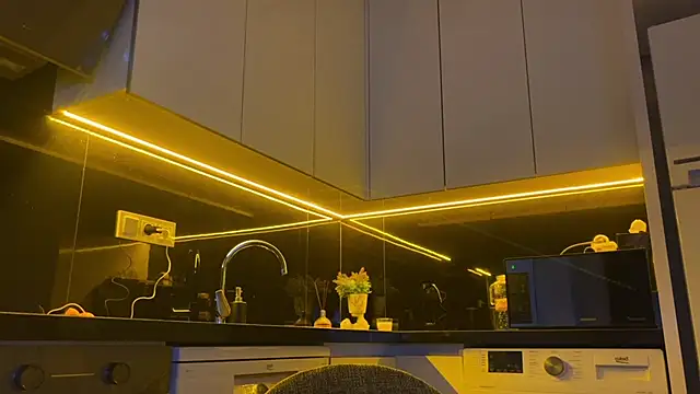 Snapshot of BlackFox_V chatting on March 2026 07:16:02 PM BlackFox V online show from March 2026 07:16:02 PM