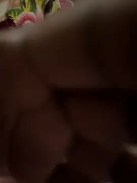 Pritu675 online show from February 2026 03:42:01 PM