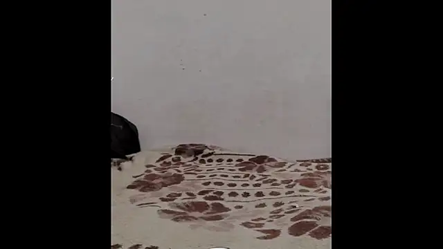 ammsexy1 online show from March 2026 04:33:01 PM