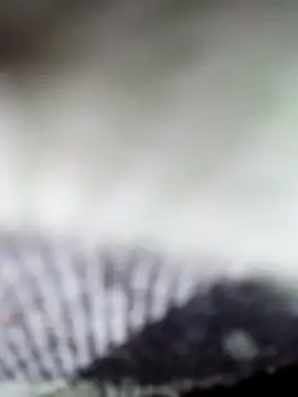 Sexy-Sony770 online show from February 2026 09:07:01 PM