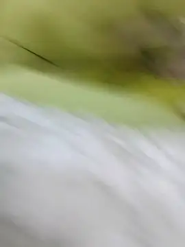 Snapshot of ONixCris chatting on February 2026 05:24:01 PM ONixCris online show from February 2026 05:24:01 PM