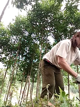 Snapshot of Bella-222 chatting on March 2026 01:33:02 AM Bella-222 online show from March 2026 01:33:02 AM