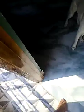 Snapshot of rubitrides11 chatting on February 2026 06:09:01 AM rubitrides11 online show from February 2026 06:09:01 AM