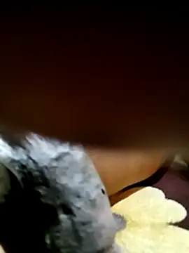 SexfreakN22 online show from February 2026 08:36:01 PM