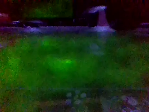 flakita38 online show from July 2026 06:09:01 AM