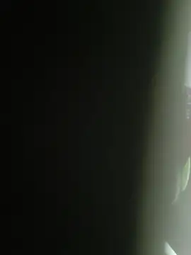 Snapshot of Gordinho_dos_pes chatting on February 2026 02:10:01 AM Gordinho dos pes online show from February 2026 02:10:01 AM