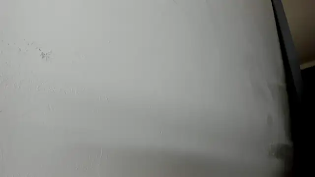 Ben Castro  online show from February 2026 09:15:02 PM