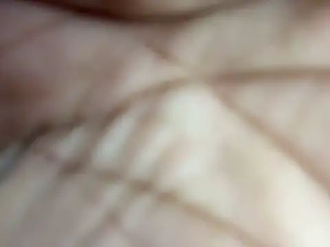 torchermachine online show from April 2026 07:27:02 PM