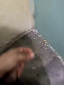 tortolito201 online show from February 2026 02:48:02 AM