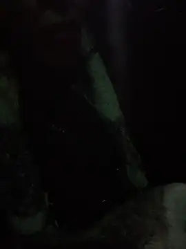 notyourtypicalAnna online show from February 2026 12:18:02 AM