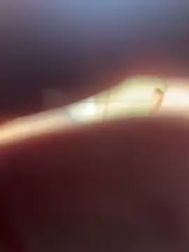 Kylxxx8 online show from March 2026 10:04:02 AM