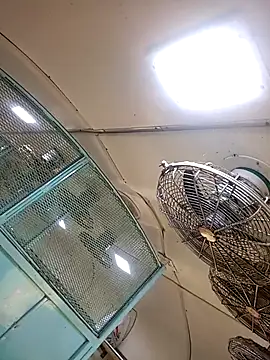 Snapshot of Talkwithsex chatting on February 2026 02:39:02 AM Talkwithsex online show from February 2026 02:39:02 AM