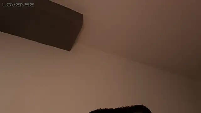 Snapshot of BjornSteel chatting on February 2026 06:13:01 AM BjornSteel online show from February 2026 06:13:01 AM