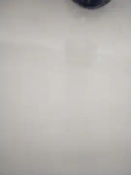 macariocb online show from February 2026 02:20:02 PM