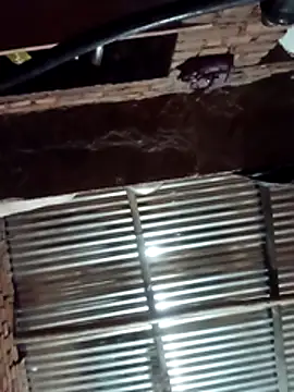 Snapshot of Hot_ree64 chatting on March 2026 05:23:02 PM Hot ree64 online show from March 2026 05:23:02 PM