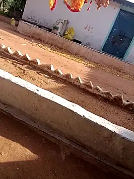 Snapshot of Hot_ree64 chatting on April 2026 02:16:01 AM Hot ree64 online show from April 2026 02:16:01 AM