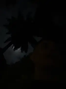 Gael Velaryx online show from April 2026 03:15:01 AM