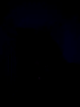 Snapshot of Telugucouple69 chatting on February 2026 10:17:02 PM Telugucouple69 online show from February 2026 10:17:02 PM