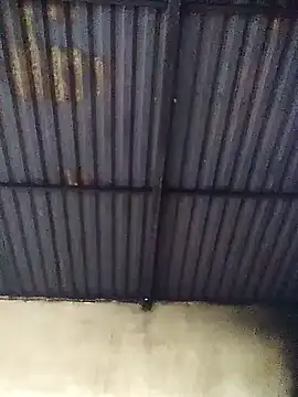 Linka998 online show from March 2026 03:13:01 AM