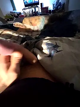 Snapshot of Ninfo920817 chatting on February 2026 08:36:01 AM Ninfo920817 online show from February 2026 08:36:01 AM