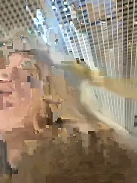 Snapshot of -OliviaSoft chatting on March 2026 02:41:02 PM -OliviaSoft online show from March 2026 02:41:02 PM