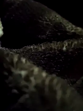 Snapshot of aryanvfit chatting on February 2026 06:01:02 PM aryanvfit online show from February 2026 06:01:02 PM