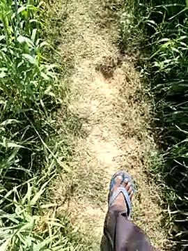 Snapshot of aryanvfit chatting on February 2026 08:11:01 AM aryanvfit online show from February 2026 08:11:01 AM