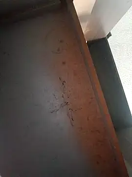 Ironid online show from February 2026 10:28:02 PM