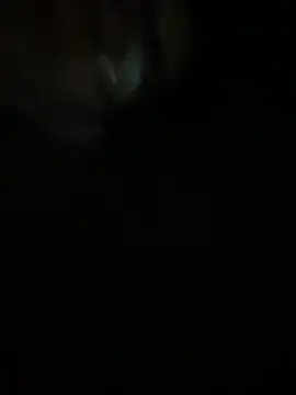 Femboysissy1919 online show from April 2026 01:17:02 AM