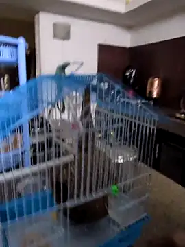 sexysilmy online show from February 2026 08:35:02 AM