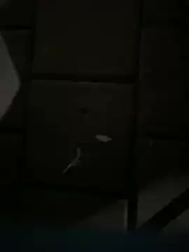 Darkhotcouple online show from February 2026 09:22:02 PM