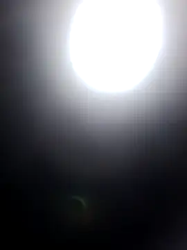 molly-xx online show from July 2026 10:12:01 PM