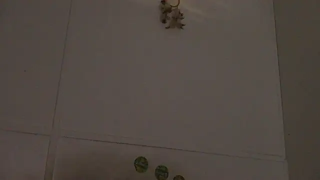 Snapshot of pbilip7787 chatting on February 2026 10:00:01 PM pbilip7787 online show from February 2026 10:00:01 PM