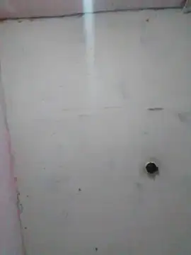 Snapshot of cobrosdepagos chatting on February 2026 01:56:02 AM cobrosdepagos online show from February 2026 01:56:02 AM