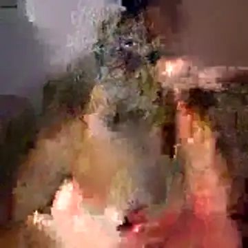 Snapshot of tubellaflor chatting on March 2026 10:23:01 PM tubellaflor online show from March 2026 10:23:01 PM