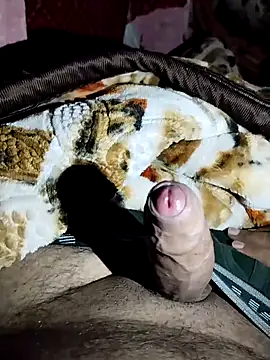 Snapshot of harryxxx82 chatting on February 2026 07:37:02 AM harryxxx82 online show from February 2026 07:37:02 AM