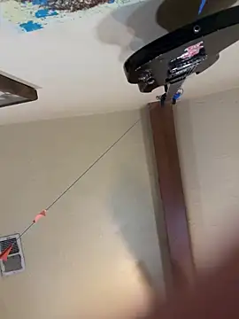 Snapshot of Link_and_Saria chatting on March 2026 12:29:01 PM Link and Saria online show from March 2026 12:29:01 PM