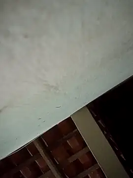 euchapo99 online show from April 2026 05:49:02 AM