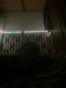 salimi26 online show from February 2026 07:12:01 PM