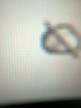 neekosam12 online show from March 2026 05:13:01 AM