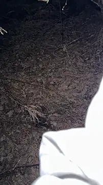 salfetka sex online show from March 2026 05:17:01 PM