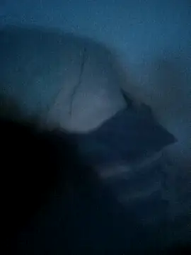 -BOBE1 online show from February 2026 03:05:01 AM