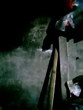 elen8800 online show from March 2026 10:45:02 AM