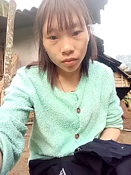 pic8800 online show from March 2026 01:12:02 AM